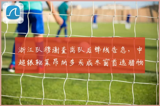 浙江队穆谢奎离队后锋线告急,中超银靴莱昂纳多或成冬窗首选猎物